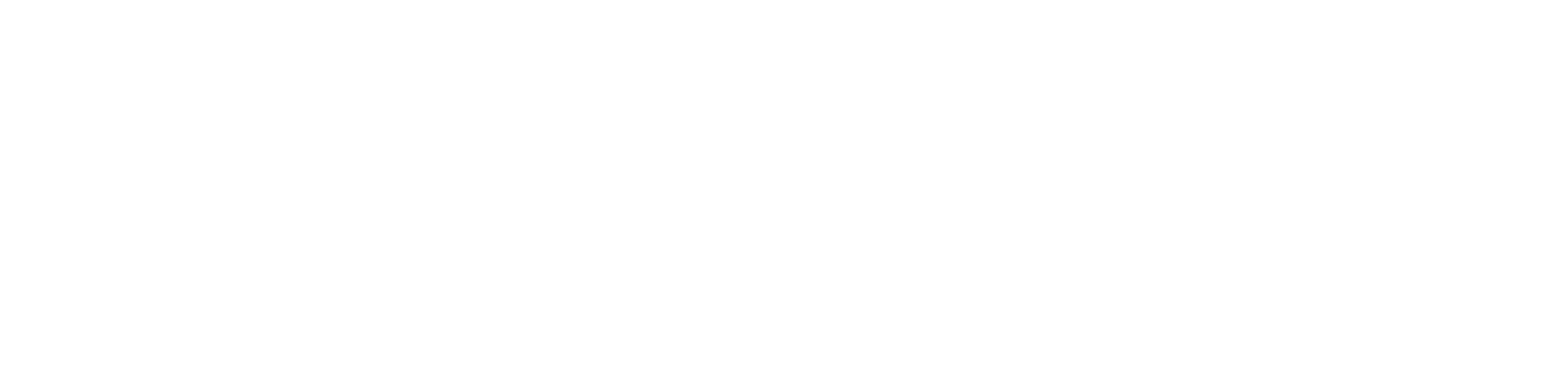 Pagotronic